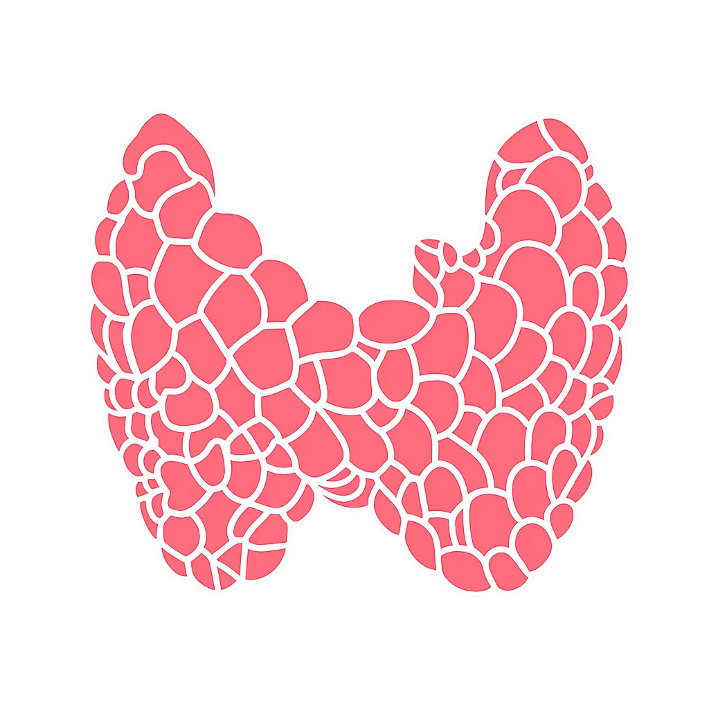 Thyroid gland